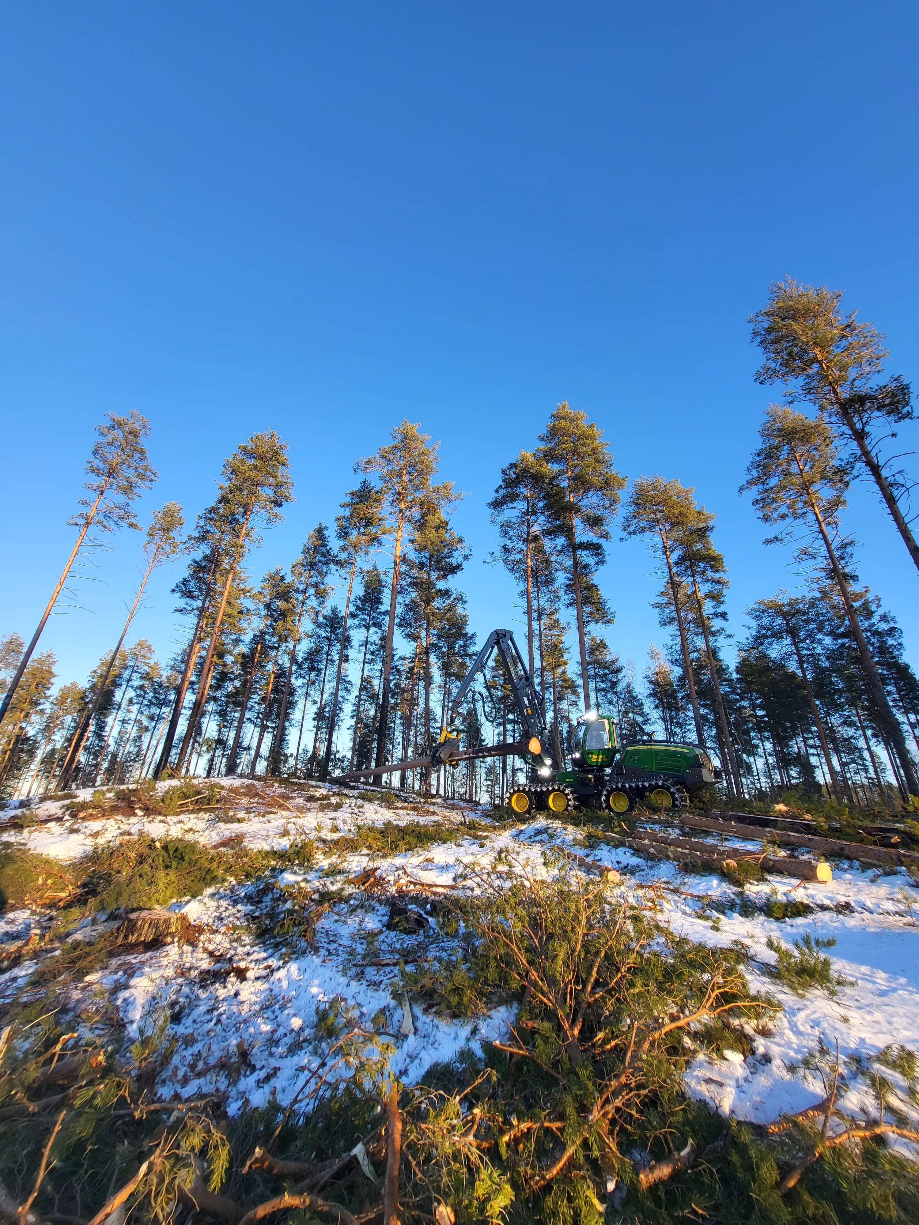Metsäkone seisoo lumisella ja metsäisellä mäellä kirkkaan sinisen taivaan alla hakkuutyössä.